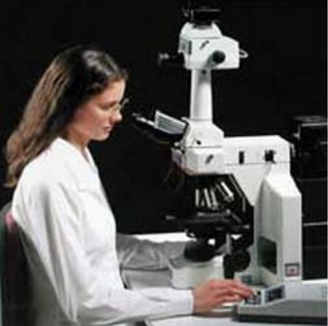 高研究用正置生物显微镜 E600