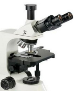 生物显微镜 ML31-C