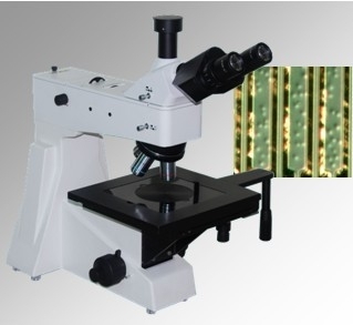 rx302微分干涉金相显微镜