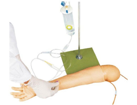 高级儿童手臂静脉穿刺模型KAS-S4