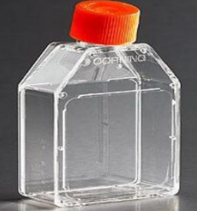 康宁透气盖细胞培养瓶