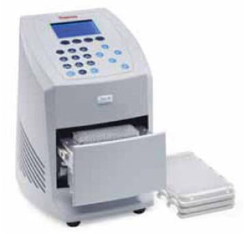 美国Thermo Scientific Piko快速PCR仪