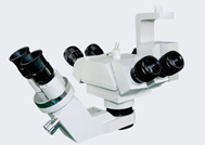 XT-X-4B型手术显微镜