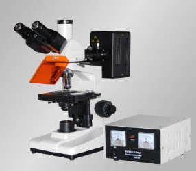 axioscope 7生物显微镜