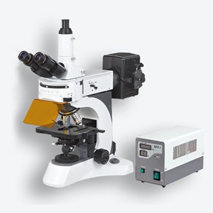 N-800F 实验室荧光显微镜