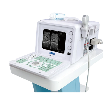 超声膀胱扫描仪bvt02