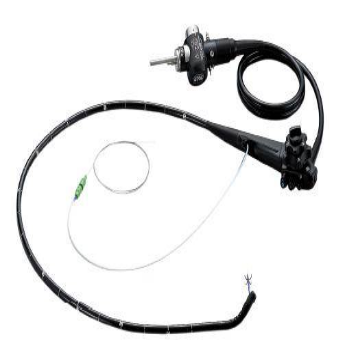 奥林巴斯电子十二指肠镜TJF-Q180V