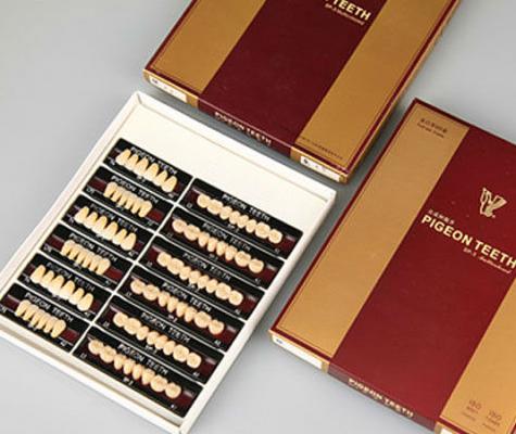 合成树脂牙 SP-2 