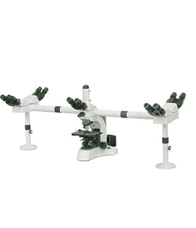 Ｎ－５１０系列多人观察显微镜