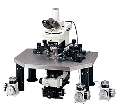 Eclipse FN1正置显微镜