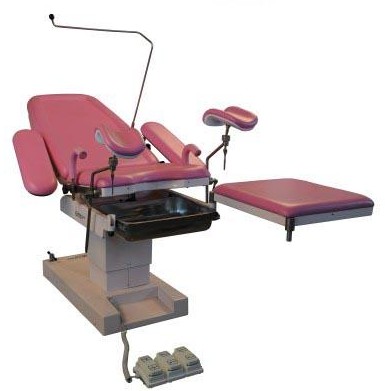 南通华恩电动产床hedc01b型