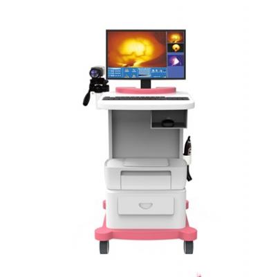 ch1080电子阴道镜成像系统