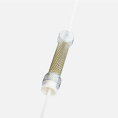 镍钛形状记忆支架（食道） ni-ti shape 