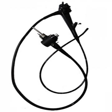 动物电子内窥镜