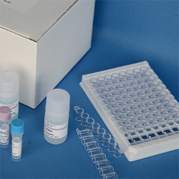 茶碱测定试剂盒(化学发光微粒子免疫检测法) architect itheophylline reagent kit