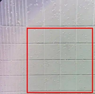 爱威ave-ma01m细胞计数板