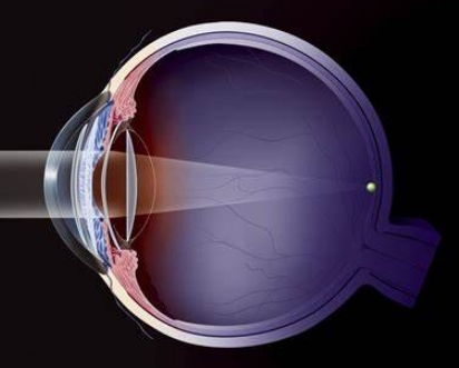 100955592945.jpg 11.jpg