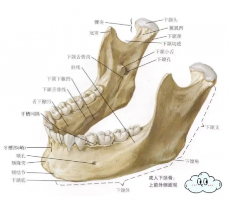 颌面接骨板系统春立正达