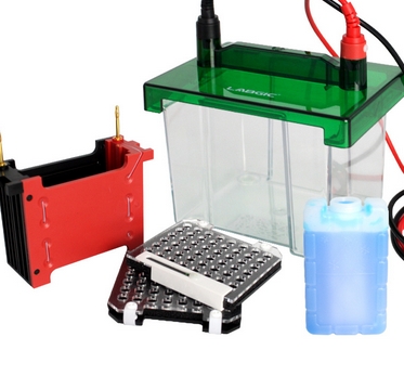 伯乐1703935小型转印槽批发价