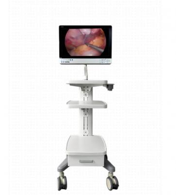 4k 医用内窥镜摄像系统wz1880 厂家