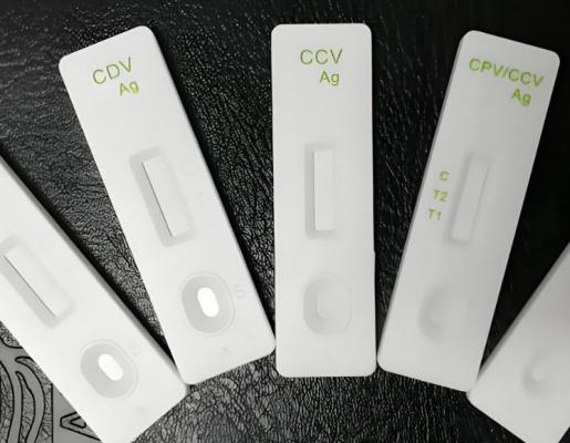 gc-q01 胶体金试纸定量分析仪 厂家