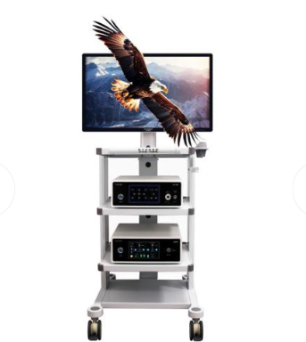 a10-hd内窥镜摄像系统厂家