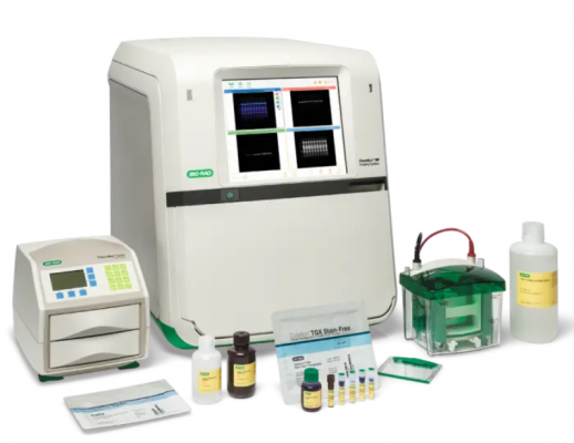 chemidoc mp凝胶成像系统代理